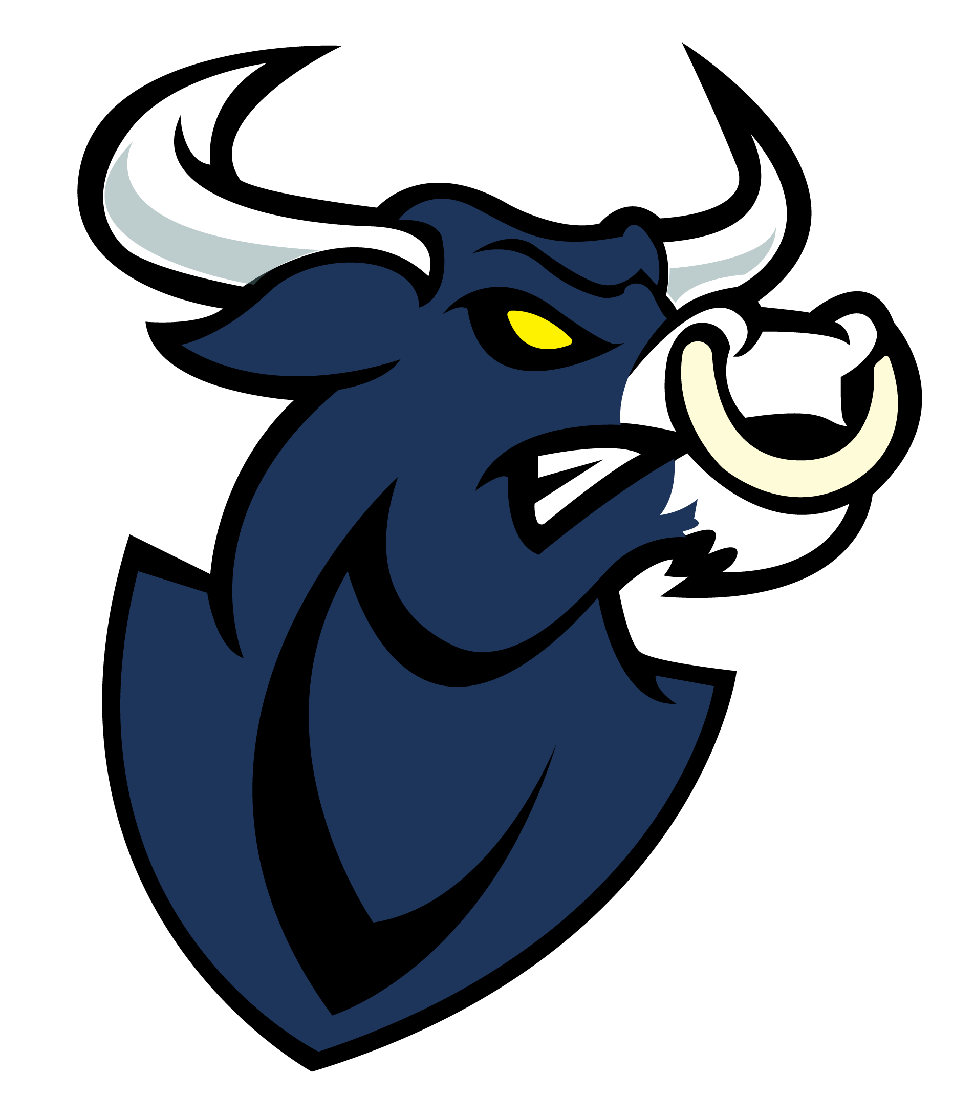 Option Bull Logo